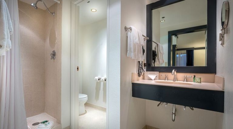 Bathroom vanity, sink, standing shower and partial view of toilet.